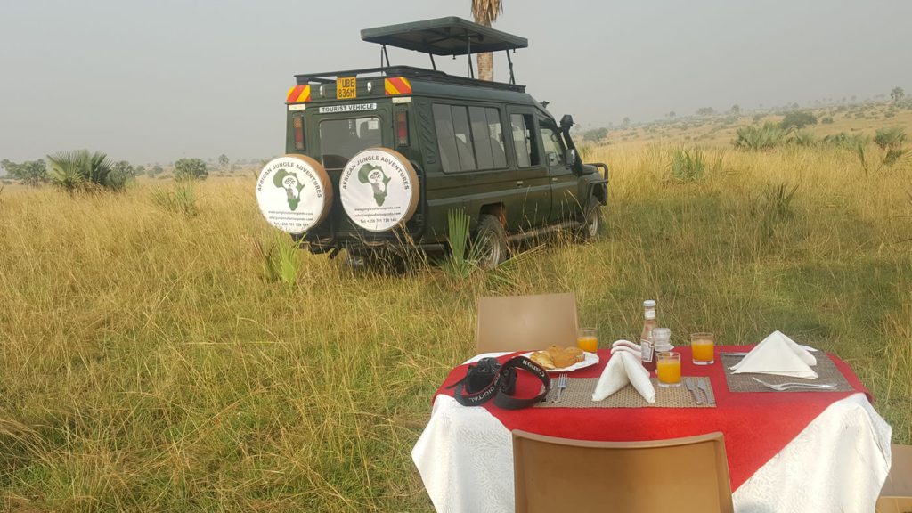 7 Seater Safari Land cruiser