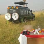 7 Seater Safari Land cruiser